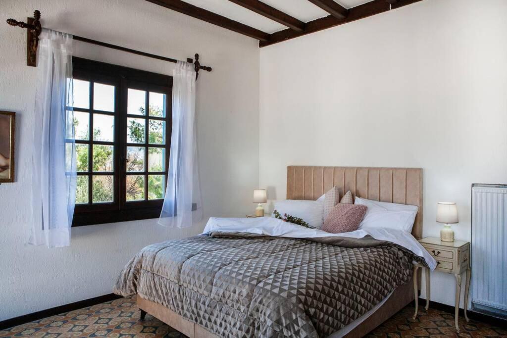 Villa Velissarios: Wonderful Villa Next To Beach Aegina Exterior foto