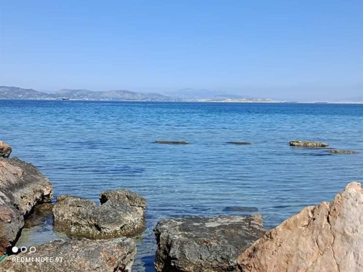 Villa Velissarios: Wonderful Villa Next To Beach Aegina Exterior foto