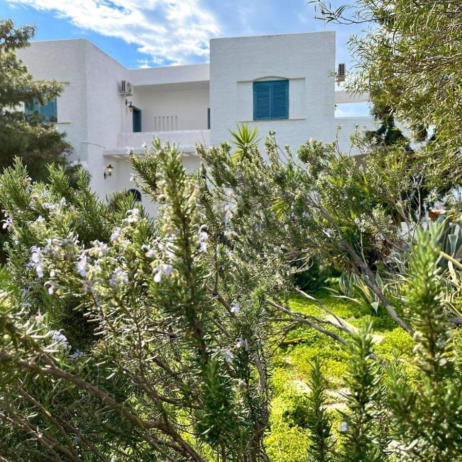 Villa Velissarios: Wonderful Villa Next To Beach Aegina Exterior foto